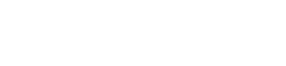 Insights Engine White Logo
